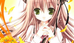 卡通动漫在线专区